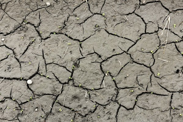 What new measures are being introduced to manage UK coastal erosion in 2023?